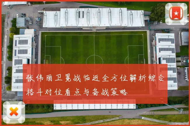 张伟丽卫冕战临近全方位解析综合格斗对位看点与备战策略
